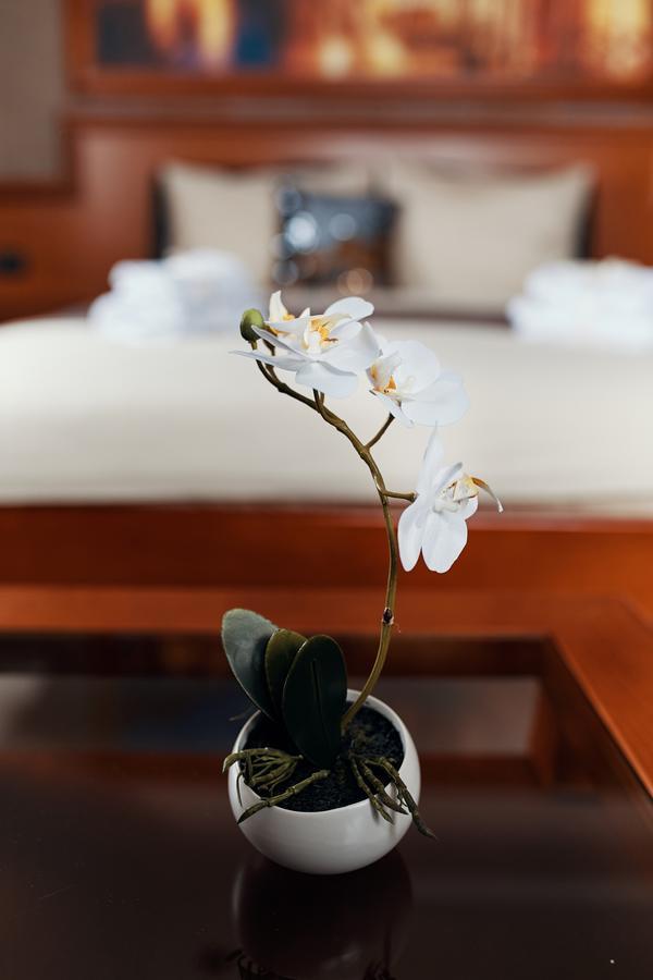 Lux Apartmani Beograd 外观 照片